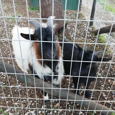 別荘 Monte Da Caldeirinha *