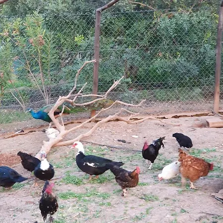 別荘 Monte Da Caldeirinha