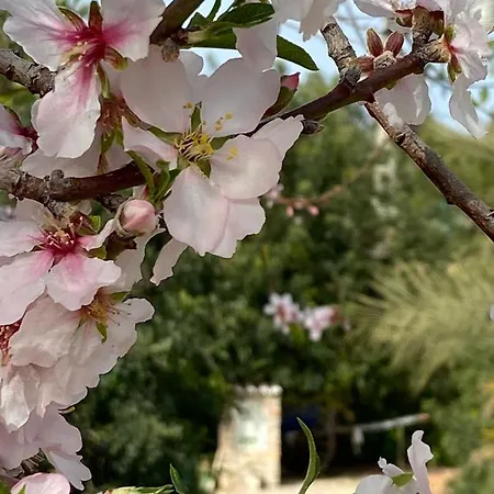 Holiday home Monte Da Caldeirinha