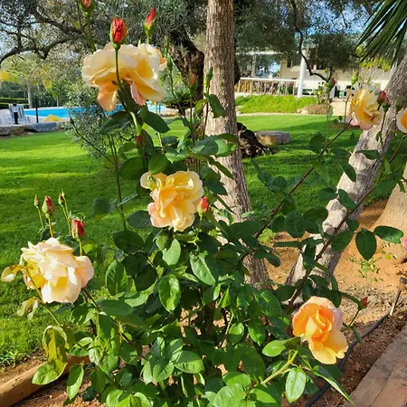 Monte Da Caldeirinha Holiday home *