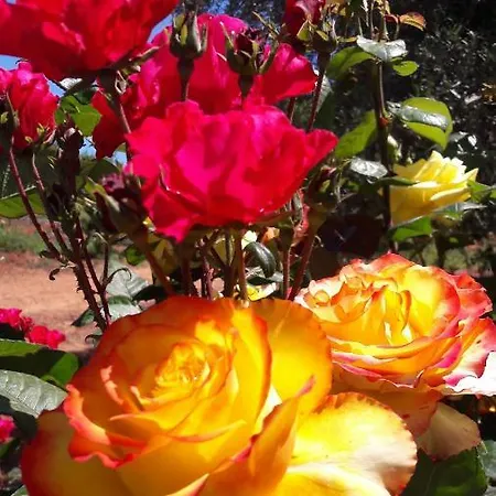 Monte Da Caldeirinha ルース・デ・タビラ