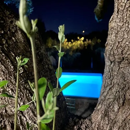 Vakantiehuis Monte Da Caldeirinha