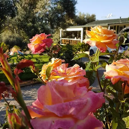 Monte Da Caldeirinha * Luz de Tavira