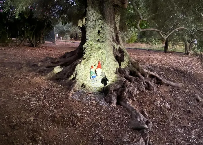 Monte Da Caldeirinha *